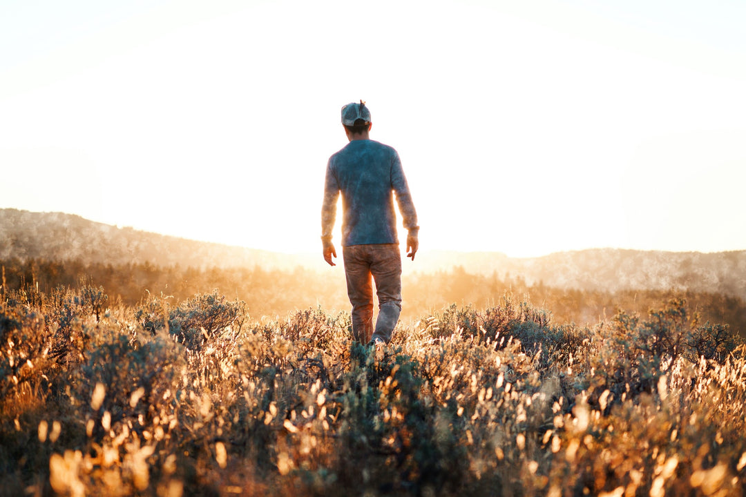 This is The Way: A Plan for Endless Health