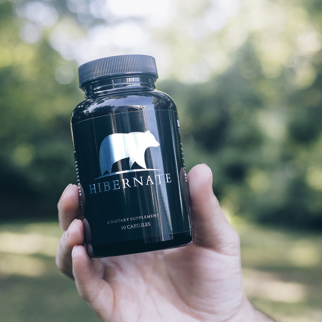 Hibernate Sleep Support: Melatonin Microdose Supplement